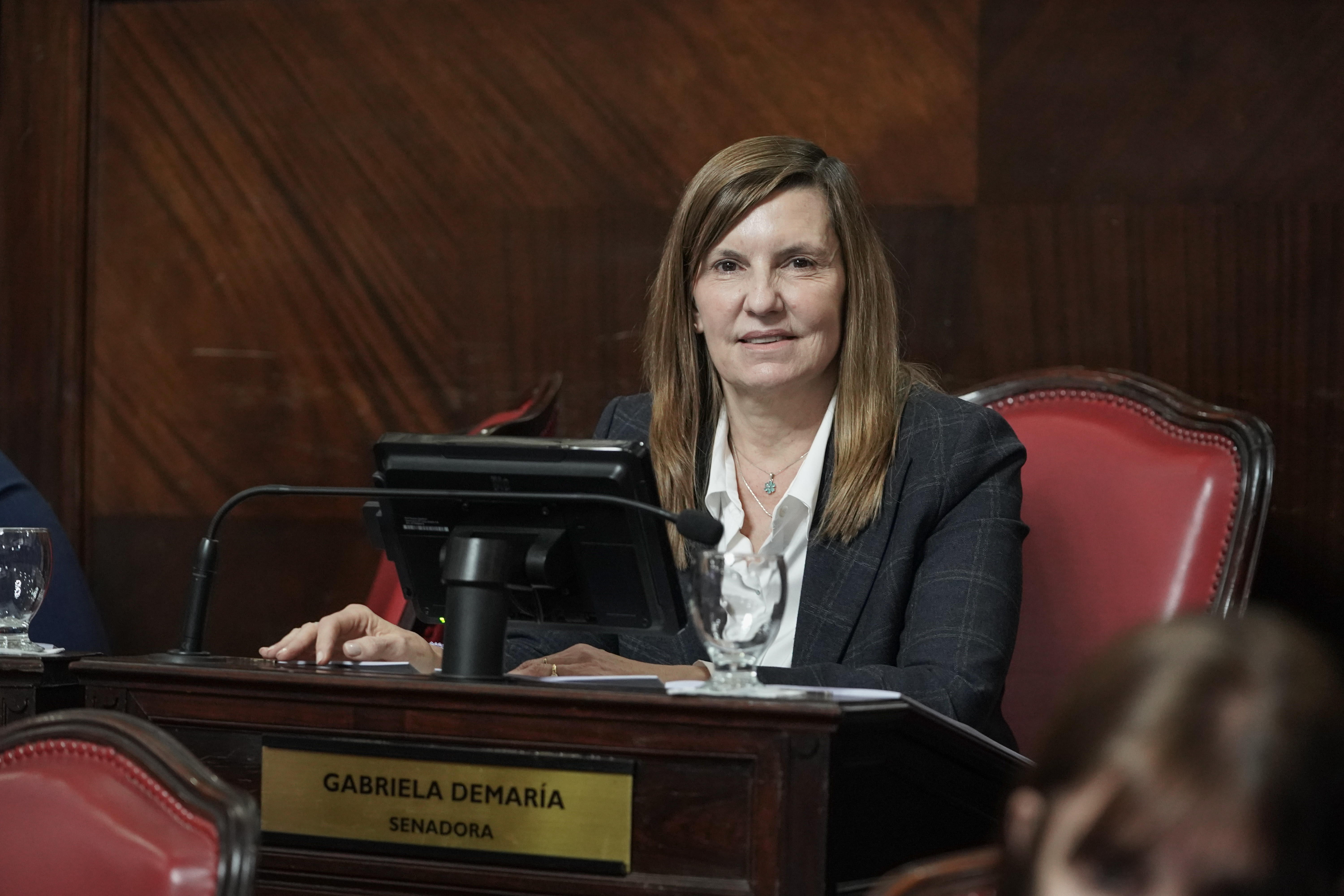 El Senado bonaerense aprobó un proyecto de Gabriela Demaría para proteger a  los usuarios de tarjetas de crédito y débito